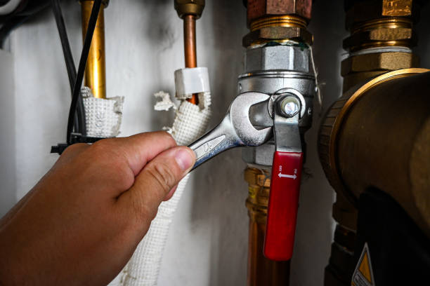 Best Plumbing Inspection Services  in Hamburg, AR